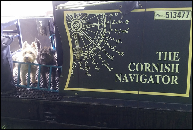 Cornish Navigator