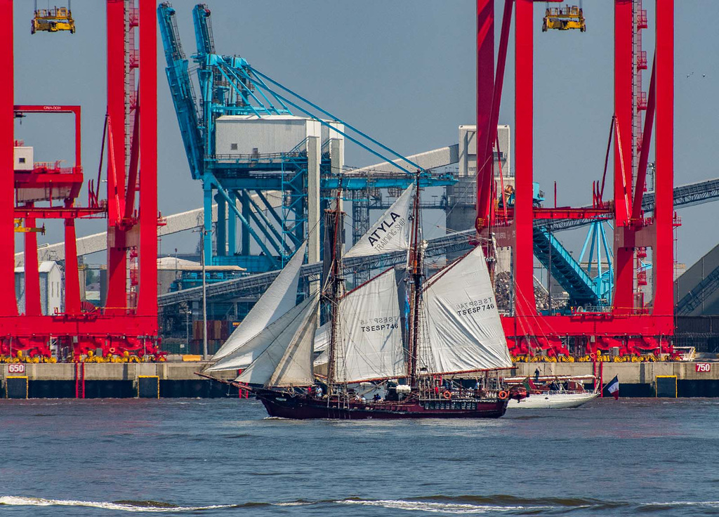 Tall ships leaving Liverpool8