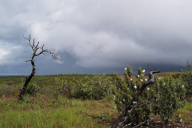 Alentejo...