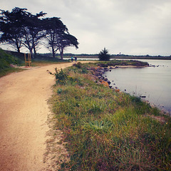 photo 7-Bretagne - Morbihan - Vendée 05.2019