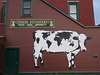World Cow