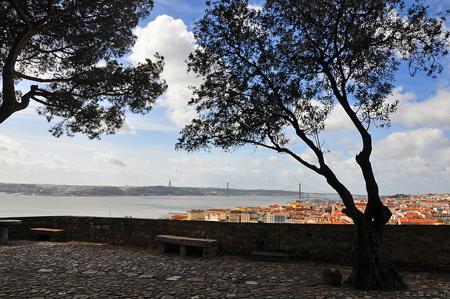 Castelo de São Jorge - Lissabon (© Buelipix)