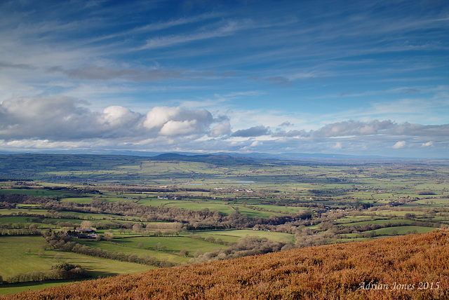 Oak Hill View