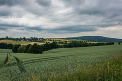 Blick auf den Ort Corba und den Rochlitzer Berg (links im Bild)