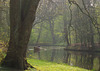 Spring arrives by boat