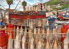 Câmara De Lobos : Barche da pesca e pesci a seccare nel piccolo porto