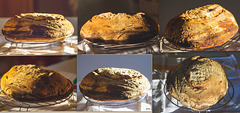 Sourdough