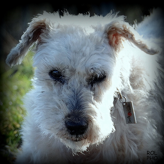 Un regard, que je n'oublierai jamais..!