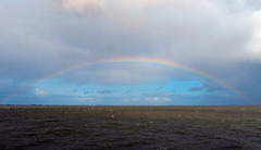Rainbow Rainbow