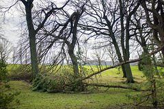 Storm Damage