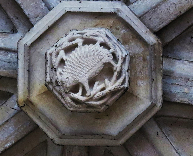 exeter cathedral, devon