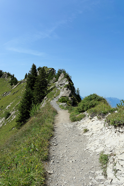 Wanderweg auf der Schynigen Platte (© Buelipix)