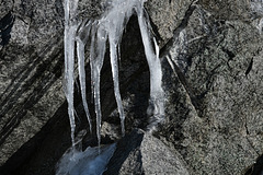 Lofoten, Uttakleivveien, Icicles