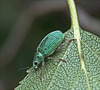 DSC01171