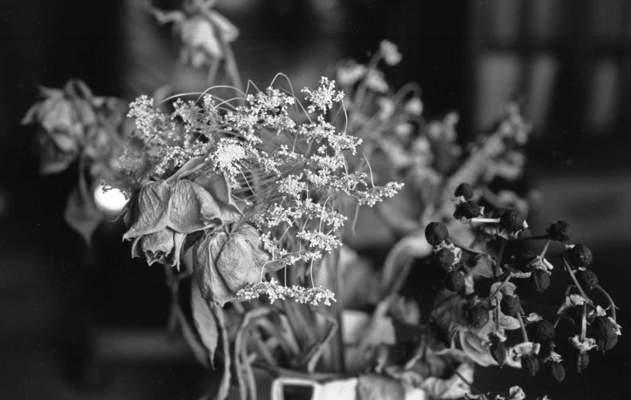 Dried flowers