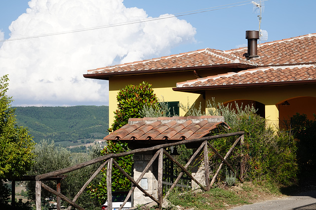 Yellow house