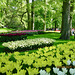 Blocks of Colour
