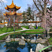 im Chinagarten in Zürich (© Buelipix)