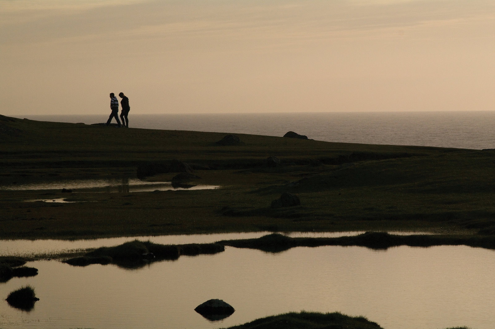 Shetland