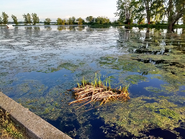 Débris post-inondation / After flooding sad scenery