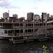 Kookaburra Queen On The Brisbane River