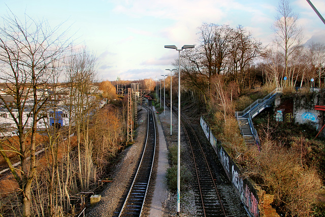 Die Werksbahn von der Erzbahnschwinge aus (Bochum-Hamme) / 14.01.2019