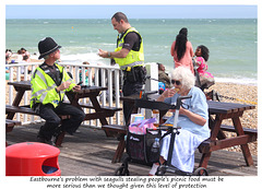 Anti seagull patrol Eastbourne 17 8 2023