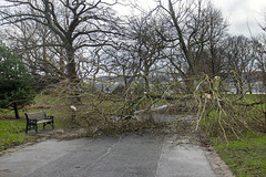 Storm Damage