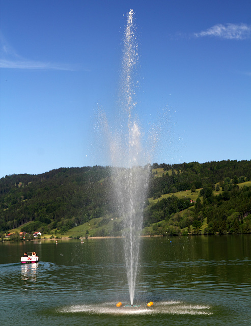Auf dem 'Großen Alpsee'