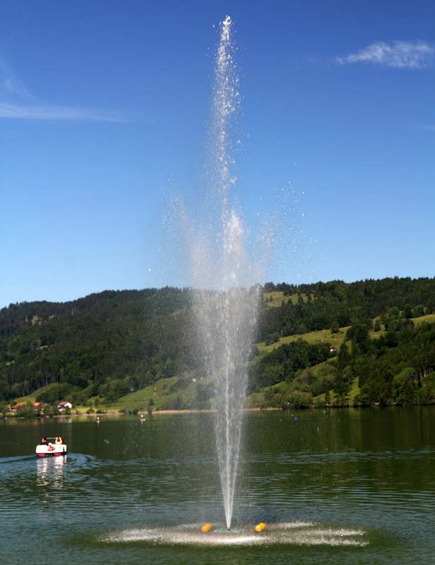 Auf dem 'Großen Alpsee'