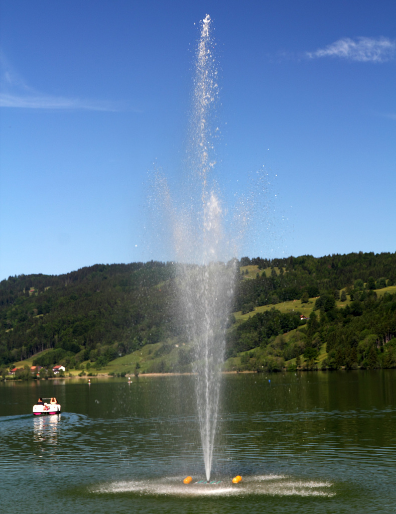 Auf dem 'Großen Alpsee'