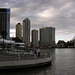 Brisbane River Scene