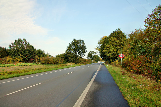 Hammer Straße (Werne-Stockum) / 13.10.2019