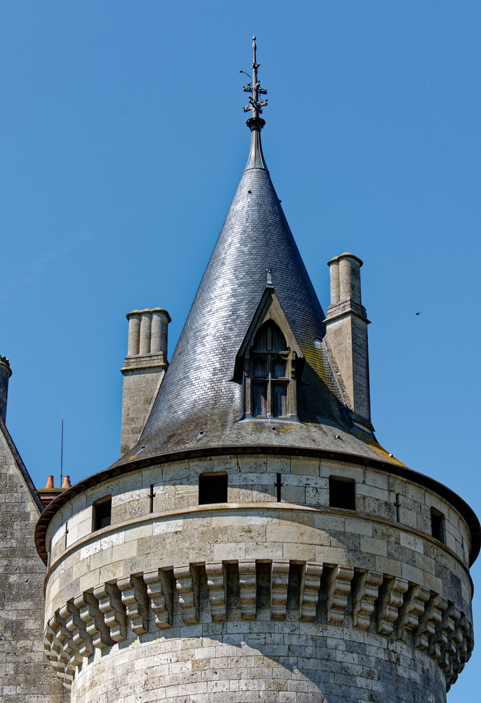 Château de Sully-sur-Loire