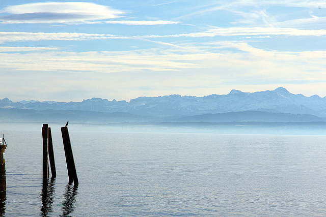 Blick vom Meerburger Yachthafen über den Bodensee in die Schweiz.