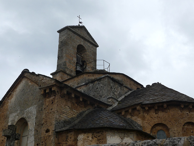 20230606 -08 Lozère tritons (309)