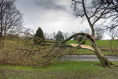 Storm Damage