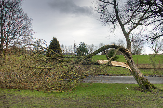 Storm Damage