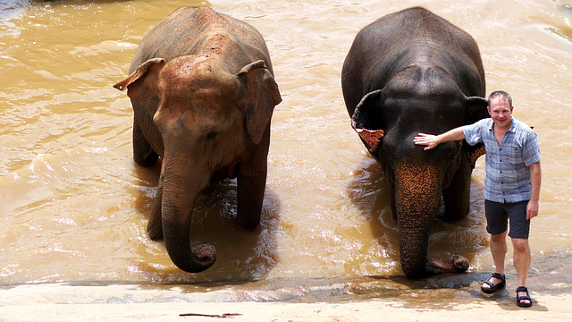 Sri Lanka tour - the fourth day - Pinnawala Elephant Orphanage