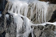 Lofoten, Uttakleivveien, Icicles L1006927