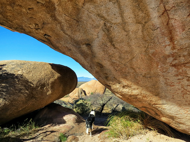 Mogollon Pictographs