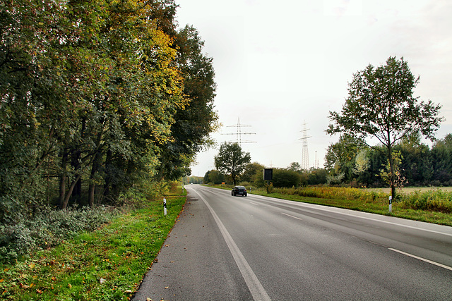 Hammer Straße (Werne-Stockum) / 13.10.2019