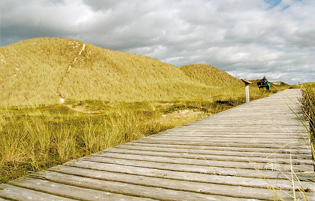 Dünenwanderweg