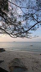 Feuillage nuageux sur plage / Cloudy foliage on beach