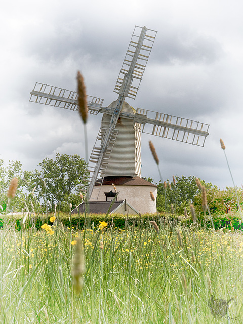 Windmill Windmill