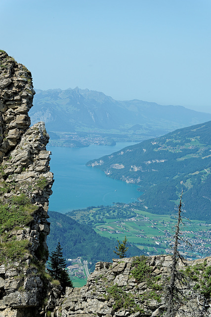 Blick auf Interlaken und den Thunersee (© Buelipix)