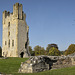 East Tower - Helmsley Castle (1 x PiP)