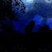 Au clair de la lune ...