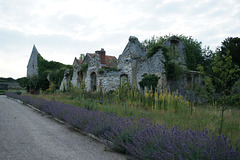 Ruins Of The Old Friary