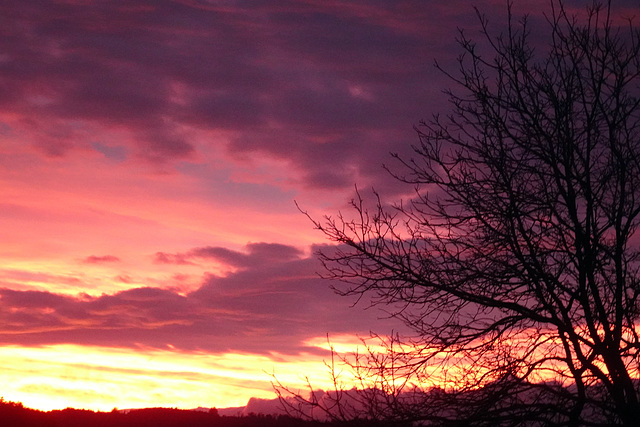 Abendrot am 3. Februar
